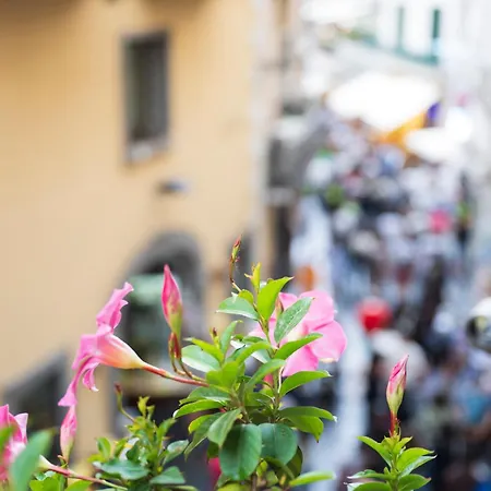 Antica Repubblica In The Historical Center 2 Minutes Away,100mt From The Sea 4*