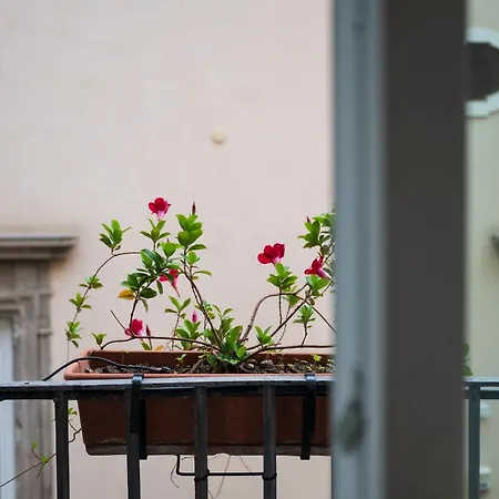Antica Repubblica In The Historical Center 2 Minutes Away,100mt From The Sea 4*
