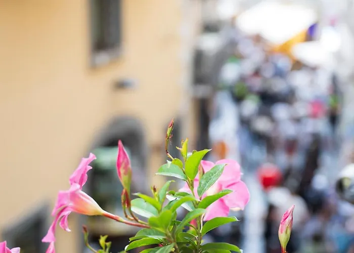 Antica Repubblica In Center At 100mt From The Sea 4*