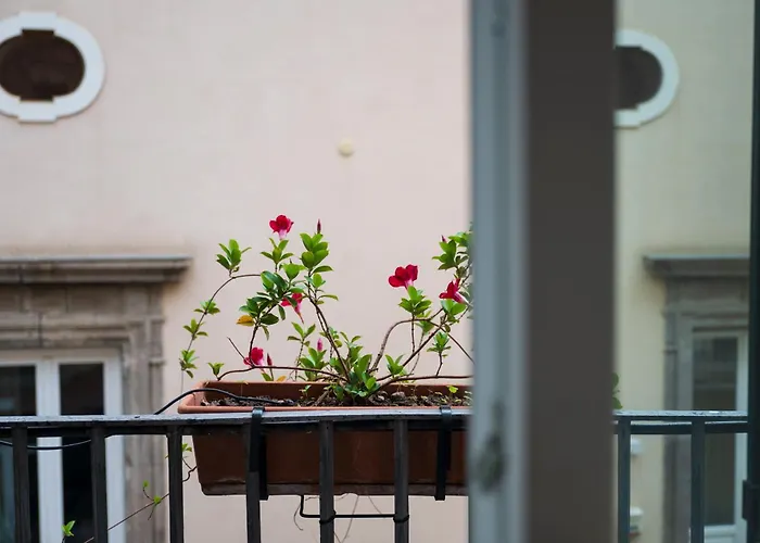 Antica Repubblica In Center At 100mt From The Sea 4*